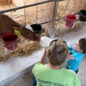 Bottle Feeding